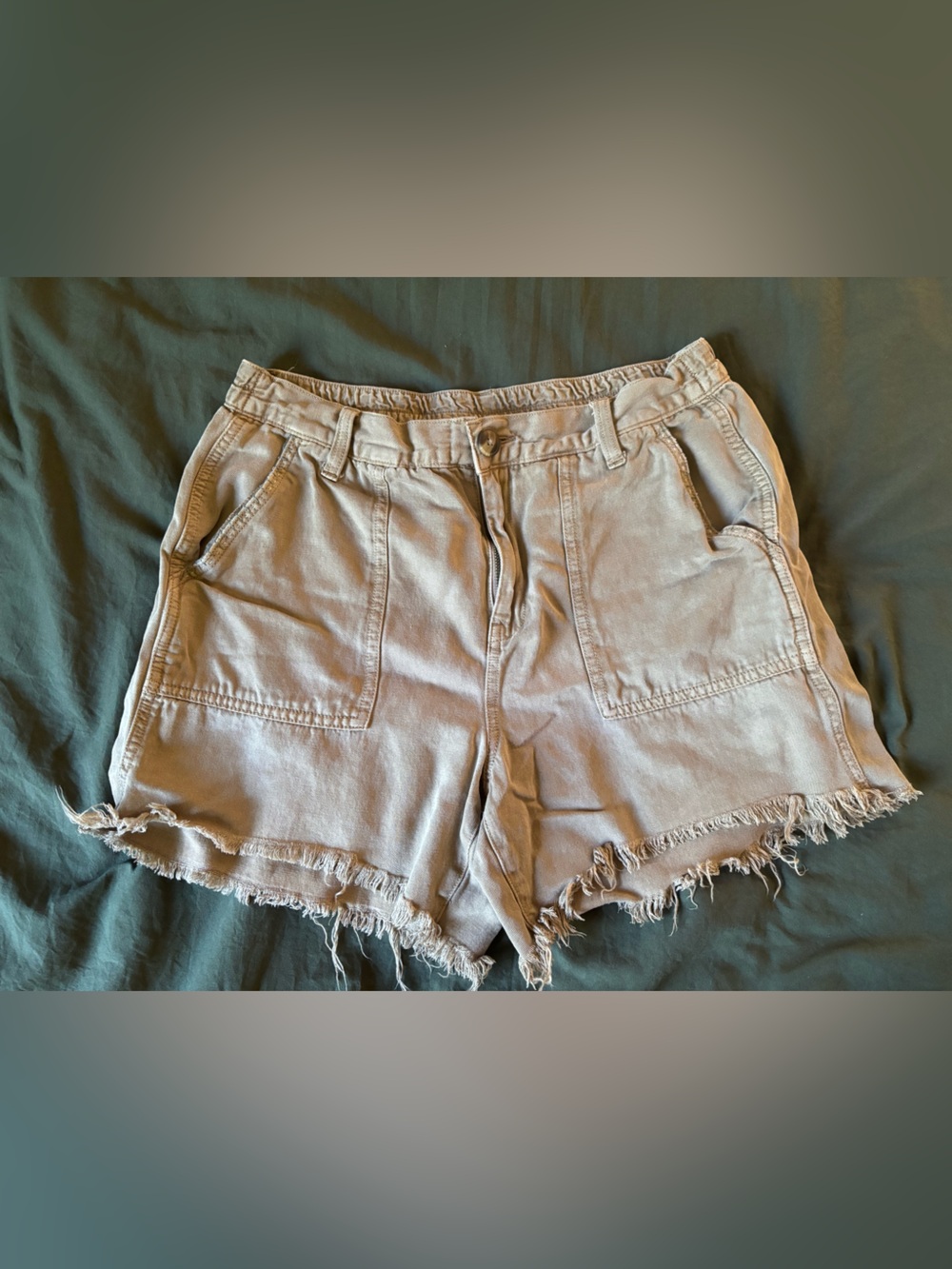 aerie Frayed Hem embroidered Shorts